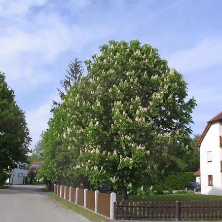 Gæstehus Eva *