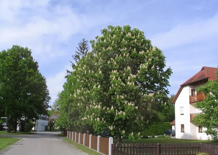 Konukevi Eva 3*